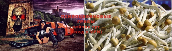 MDMA Premium VHQ Волоколамск