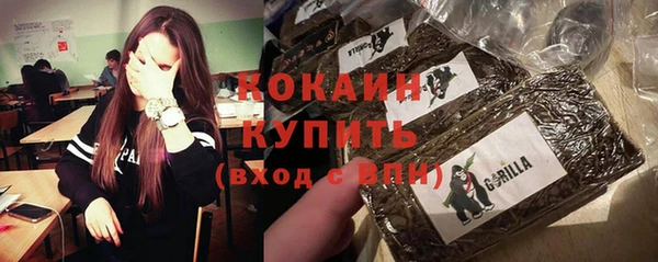 крисы Володарск