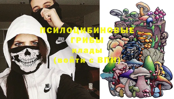 крисы Верхний Тагил