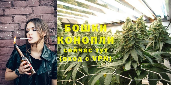 крисы Володарск