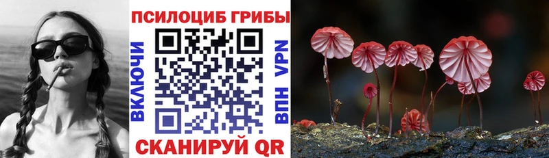 ссылка на мегу рабочий сайт Мончегорск Псилоцибиновые грибы Psilocybe где купить наркоту