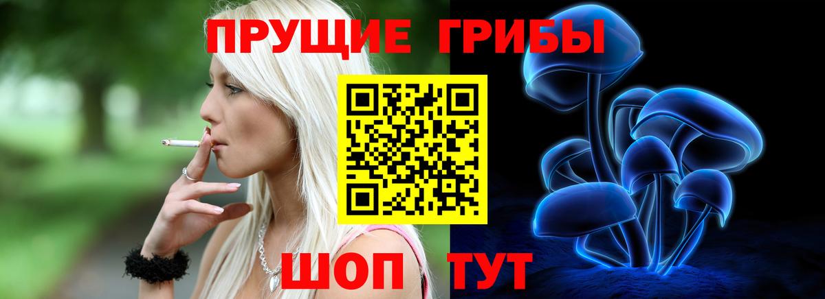 Мончегорск  Псилоцибиновые грибы Psilocybine cubensis  Вход с VPN 