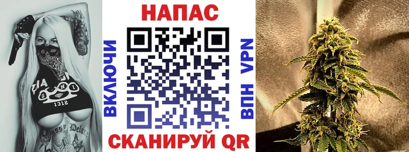 дарнет шоп  Мончегорск  KRAKEN tor  Шишки марихуана ГИДРОПОН 