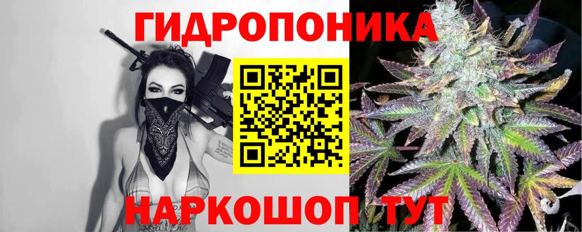 Марихуана MAZAR Мончегорск